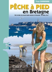 Pêche À Pied En Bretagne ; De La Baie Du Mont Saint Michel À Plénestin