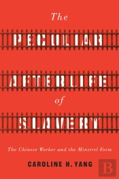 Peculiar Afterlife Of Slavery