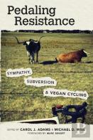 Pedaling Resistance
