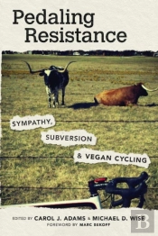 Pedaling Resistance