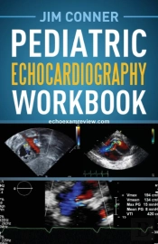 Pediatric Echocardiography Workbook
