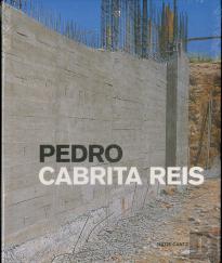 Pedro Cabrita Reis