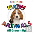 Peek And See Baby Animals All Grown Up