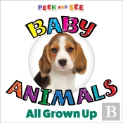 Peek And See Baby Animals All Grown Up