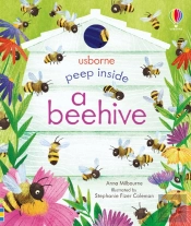 Peep Inside A Beehive