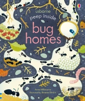 Peep Inside Bug Homes