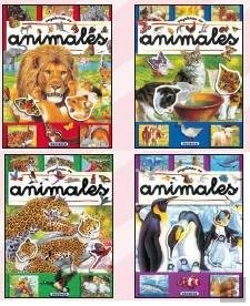 Bertrand.pt - Pegatinas De Animales (4 Títulos)