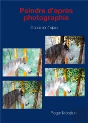 Peindre D Apres Photographie