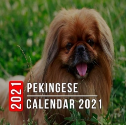 Bertrand.pt - Pekingese Calendar 2021