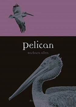 Bertrand.pt - Pelican