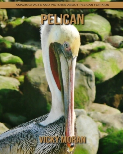 Bertrand.pt - Pelican