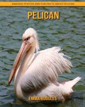 Pelican