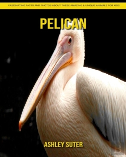 Bertrand.pt - Pelican