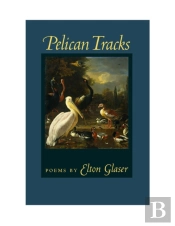 Pelican Tracks