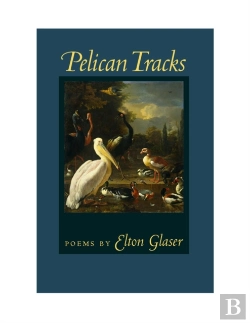 Bertrand.pt - Pelican Tracks
