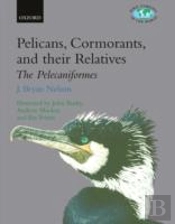 Pelicans, Cormorants, And Their Relatives