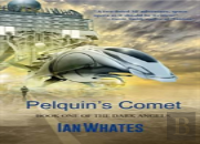 Pelquin'S Comet