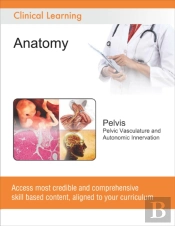 Pelvis - Pelvic Vasculature And Autonomic Innervation