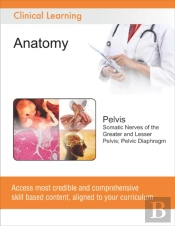 Pelvis - Somatic Nerves Of The Greater And Lesser Pelvis; Pelvic Diaphragm