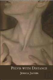 Pelvis With Distance