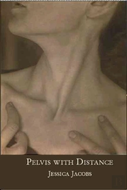 Bertrand.pt - Pelvis With Distance