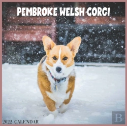Bertrand.pt - Pembroke Welsh Corgi 2022 Calendar