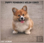 Pembroke Welsh Corgi Puppy 2022 Calendar