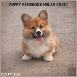Bertrand.pt - Pembroke Welsh Corgi Puppy 2022 Calendar