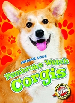 Bertrand.pt - Pembroke Welsh Corgis