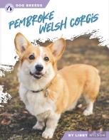 Pembroke Welsh Corgis