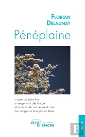 Pénéplaine