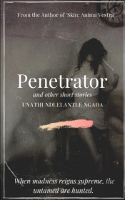 Penetrator