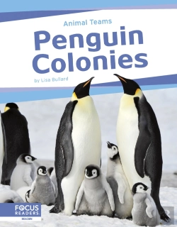 Bertrand.pt - Penguin Colonies