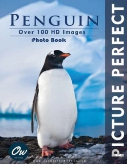 Bertrand.pt - Penguin