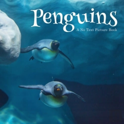 Bertrand.pt - Penguins, A No Text Picture Book