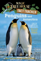 Penguins And Antarctica