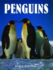 Penguins