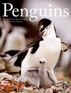 Bertrand.pt - Penguins
