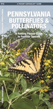 Pennsylvania Butterflies & Pollinators