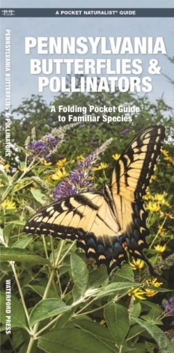 Bertrand.pt - Pennsylvania Butterflies & Pollinators