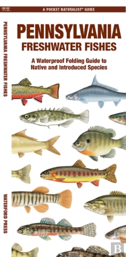 Bertrand.pt - Pennsylvania Freshwater Fishes