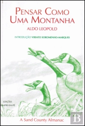 Pensar Como Uma Montanha