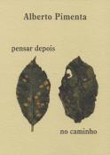 Pensar Depois | No Caminho