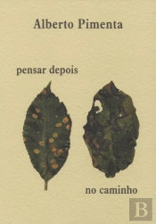 Pensar Depois | No Caminho