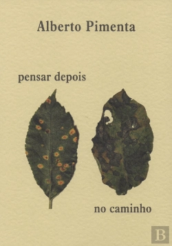 Bertrand.pt - Pensar Depois | No Caminho