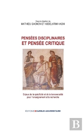 Pensées Disciplinaires Et Pensée Critique : Enjeux De La Spécificité Et De La Transversalité Pour L'Enseignement Et La Recherche