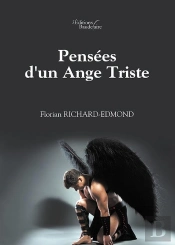 Pensees D'Un Ange Triste