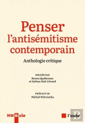 Penser L'Antisémitisme Contemporain : Anthologie Critique