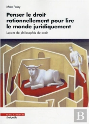 Penser Le Droit Rationnellement Pour Lire Le Monde Juridiquement