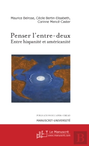 Penser L'Entre-Deux ; Entre Hispanité Et Américanité